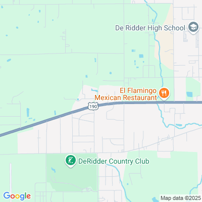 Location of the DeRidder DMV office