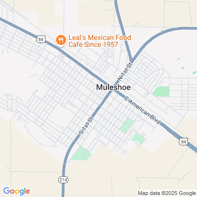 Location of the Muleshoe DMV office